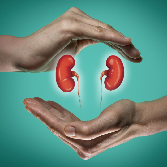 Signs and symptoms kidney